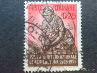 Италия 1955 межд. институт