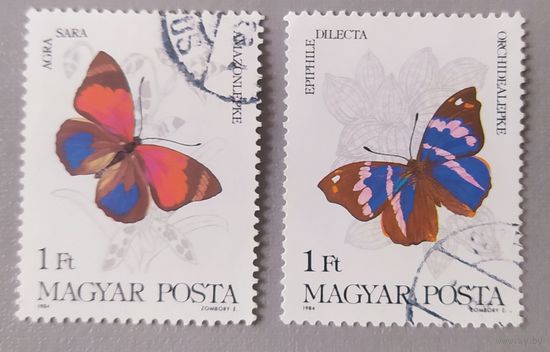 Бабочки, 1984, Венгрия