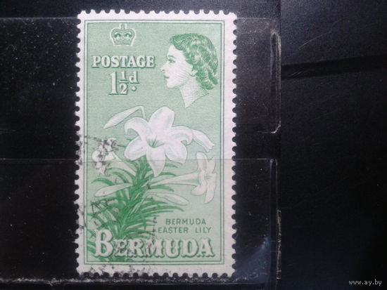 Бермуды, колония Англии, 1953. Лилии и королева Елизавета II