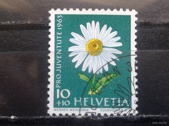 Швейцария, 1963, Ромашка