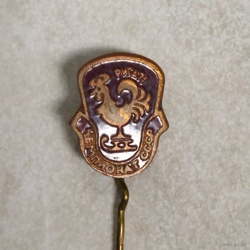 Значок. Чемпионат СССР по фигурному катанию. Рига 1971. Тяжёлый металл, горячая эмаль.