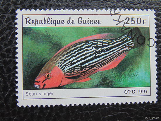 Гвинея 1997 г. Морская фауна.