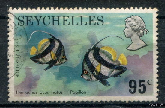 Британские колонии - Сейшелы - 1974г. - рыбки, 95 с - 1 марка - гашёная [Mi 320]. #3-WB-100-KS-6