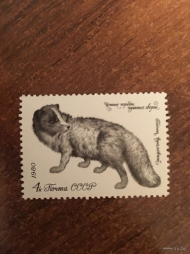 СССР 1980. Песец вуалевый