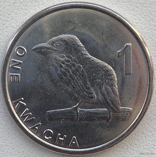 Замбия 1 квача 2024 г.