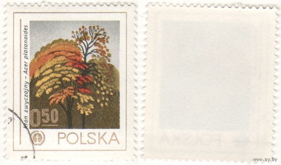 Польша 1978.09.06 (Mi)PL2569 марка из сер.Охрана природы - деревья - 0,50zl Клён норвежский (Acer plantanoides) (г) (a1-07 ТОРГ/ВАША ЦЕНА