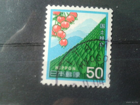 Япония, 1980. Лесовосстановление