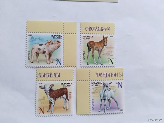 Беларусь 2024 4 м детен.дом.животных