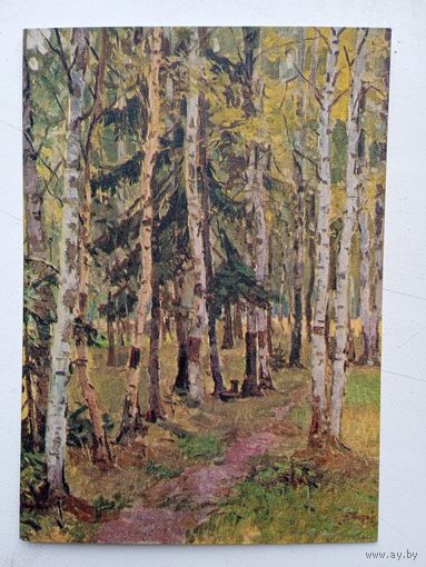 1956. Антонов. Дорога в Пестово