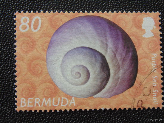 Бермуды 2002 г. Ракушка.