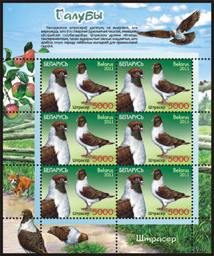 Беларусь. 2011. Голуби. Листы