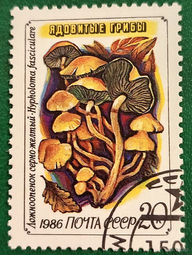 СССР 1986. Ядовитые грибы. Ложноопенок серно-желтый