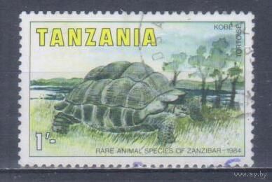 [577] Танзания 1985. Фауна.Черепаха. Гашеная марка.