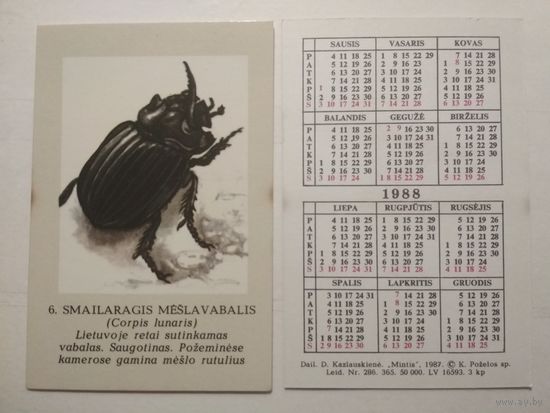 Карманный календарик. Жук . 1988 год
