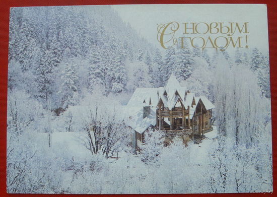 С новым годом! Чистая. 1985 года. Фото Петухова. 324.
