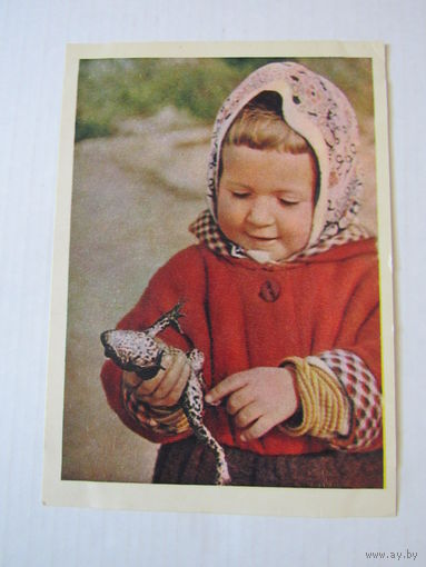 Юный натуралист. Фото В. Гиппенрейтера. 1958 г.
