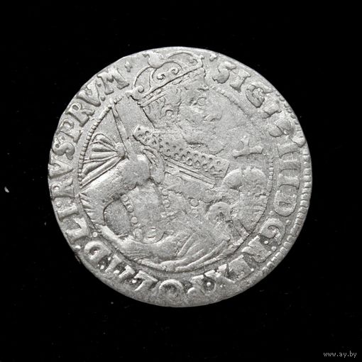 Орт 1624 г. Быдгощ (Речь Посполитая), Сигизмунд Ваза