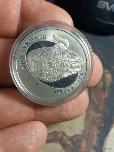 1 рубль 2009 г. Птица года Серый гусь+буклет Республика Беларусь медь-никель