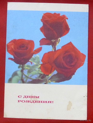 С днём рождения! Чистая. 1968 года. Дергилева. 573.