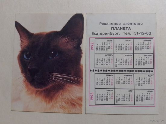 Карманный календарик. Котик.1992 год