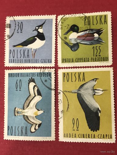Польша 1964 год. Птицы