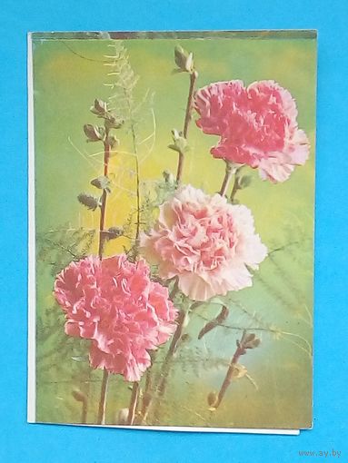 Открытка СССР- 1979-Двойная-подписана.