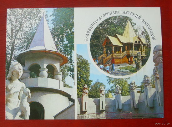 Калининград. Зоопарк. Чистая. 1984 года. 1713.