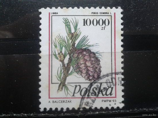 Польша, 1993, Стандарт, шишки