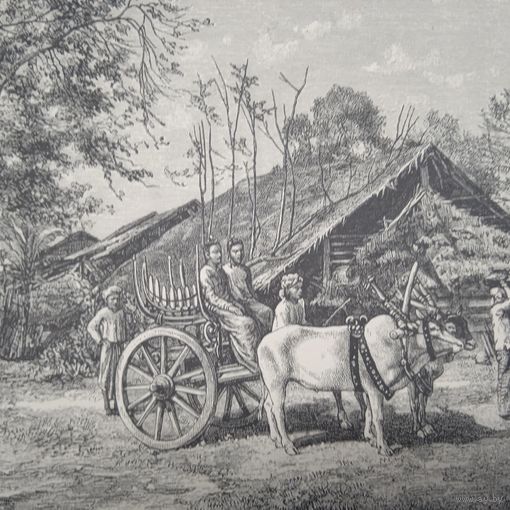 ВИДЪ НА МАЛАКСКОМЪ ПОЛУОСТРОВЕ. гравюра конец 19в.27х17.5см.