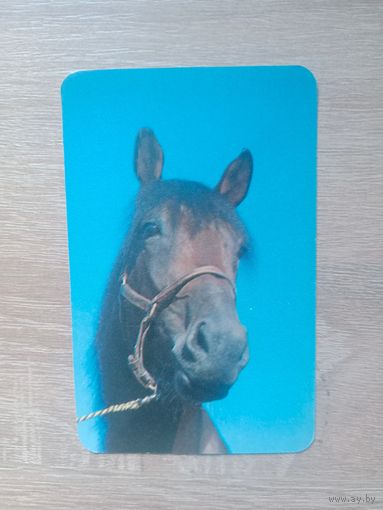 Календарик 1990