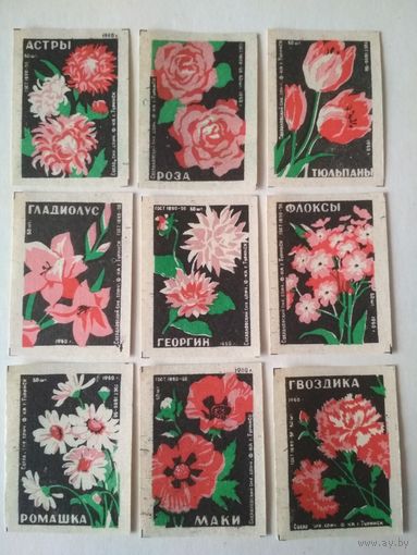 Спичечные этикетки ф.Туринск. Цветы. 1960 год