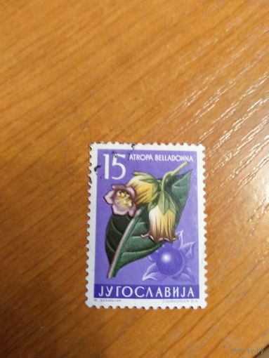 1957 Югославия флора цветы (4-6)
