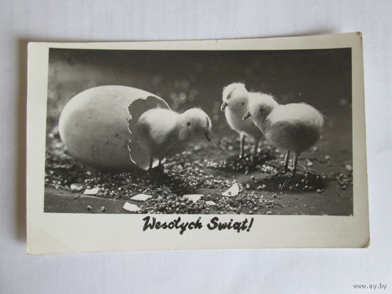 Открытка 1956г