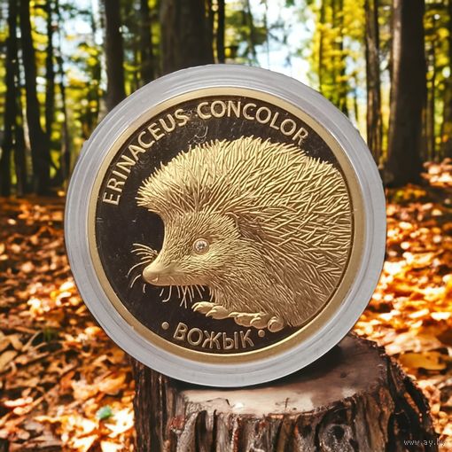 Вожык Ёж Ёжик Нedgehog, Золото Au 999, 50 рублей 2011, 7.78 грамма, тираж 1000 шт.