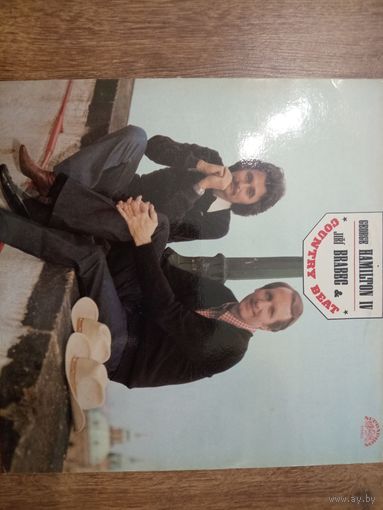 Виниловая пластинка