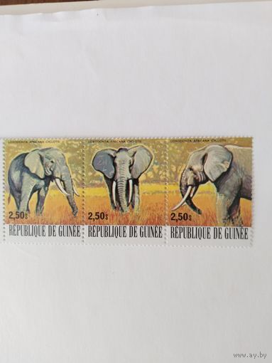 Гвинея  1977 3м сцепка  дикие животные