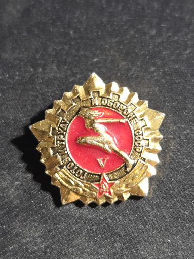 Готов к труду и обороне 5