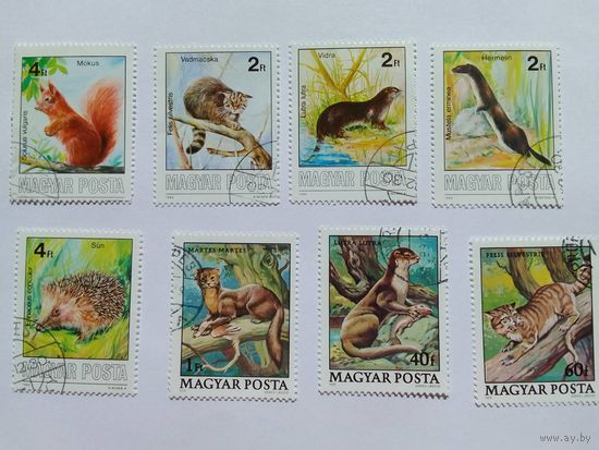 Марки Венгрия   звери  1979-1986 г.  8шт