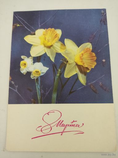 Почтовая карточка "8 марта", фото И.Дергилев,  1970г.