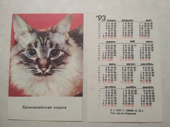Карманный календарик. Котик.1993 год