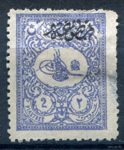 Османская Империя (Турция) - 1901г. - тугра Абдул Хамида II, 2 Pia - 1 марка - чистая, без клея, есть маленькое тонкое место справа возле перфорации [Mi 112 A]. #4-W2-126-A-1