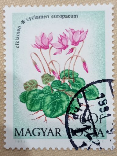 Венгрия 1973. Флора. Цветы. Cyclamen Europaeum