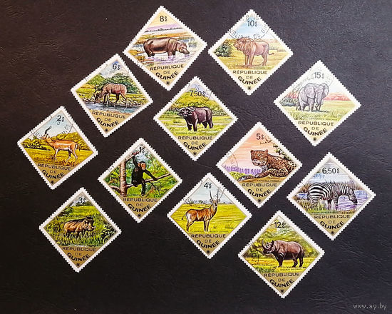 Гвинея 1975 г. Дикие животные. Фауна Африки, полная серия из 12 марок #0227-Ф1P44