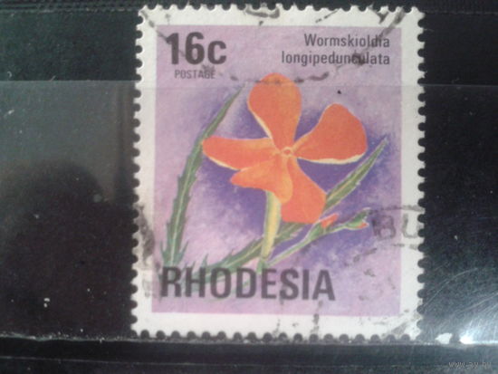 Родезия, 1976. Цветы