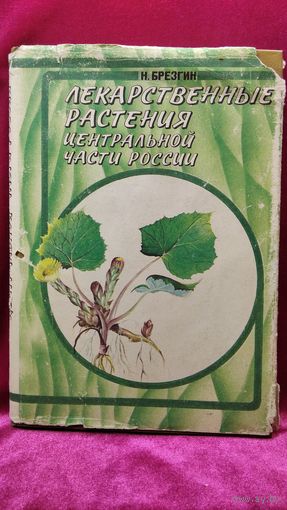 Н. Брезгин. Лекарственные растения центральной части России