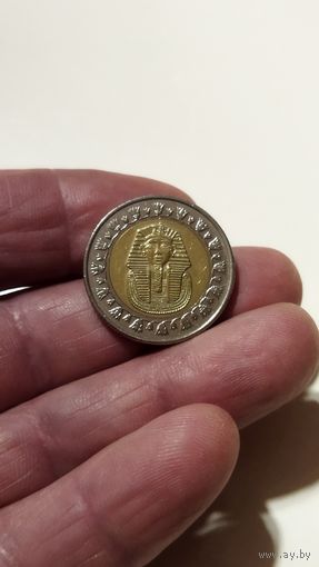 1 фунт 2008 г. Египет.