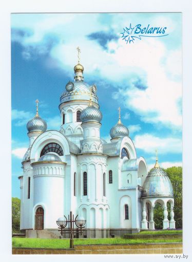 Беларусь. 2014. Береза (148-1/1)