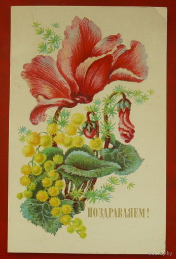 Поздравляем! Подписанная. 1977 года. Соколова. 372.