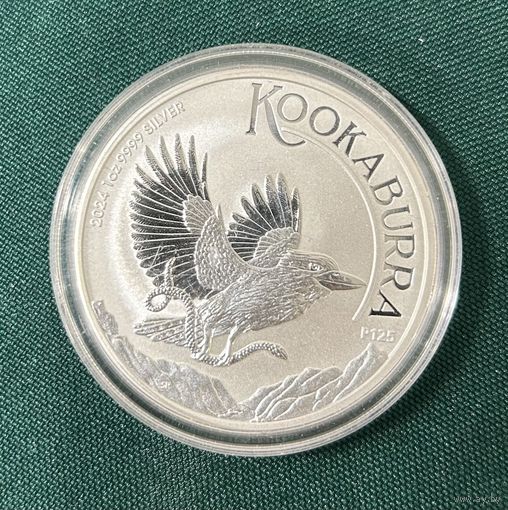 Кукабара 2024 австралия