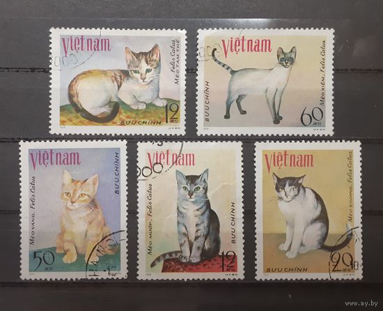 Вьетнам. 1979 год. Фауна. Кошки (5 марок из серии, есть помятость на двух марках)